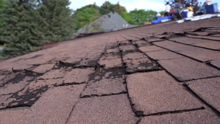 Best Green or Eco-Friendly Roofing Solutions  in Santa Nella, CA